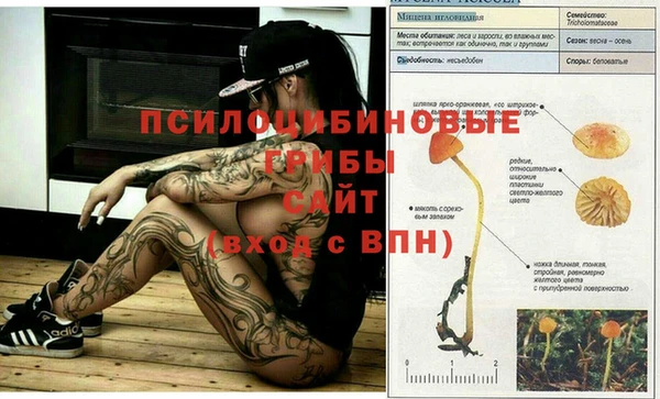 a pvp Баксан