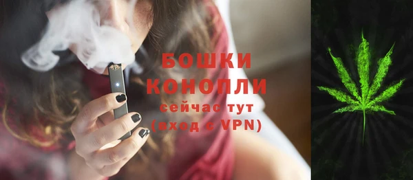 трава Балахна