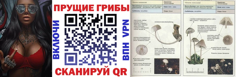 Галлюциногенные грибы GOLDEN TEACHER  цены   Ульяновск 