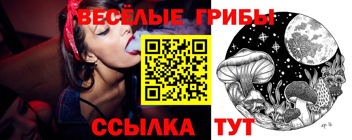 Ульяновск  Псилоцибиновые грибы мухоморы  Вход с VPN 